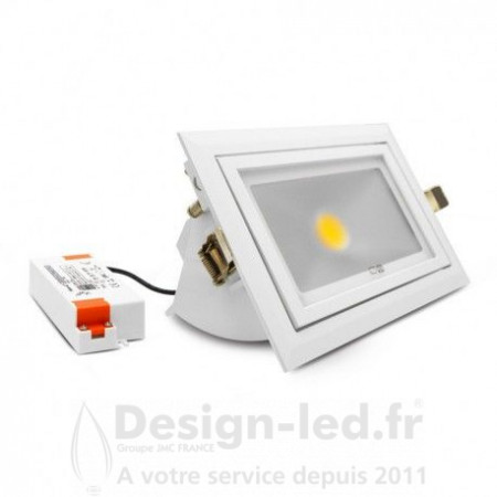 Spot LED Rectangulaire Inclinable avec Alimentation 30W 4000K, miidex 7692 - FDS 72,50 €