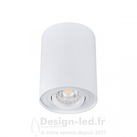 Plafonnier pour éclairage d’accentuation BORD-DLP blanc 1xGU10, kanlux 22551 Kanlux 29,80 € Support plafond GU10 - GU5.3 - G4