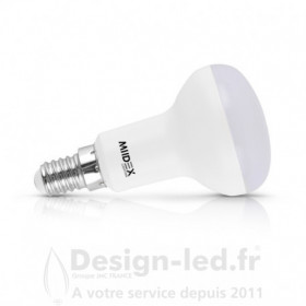 Ampoule E14 R39 spot led 5w 6000k