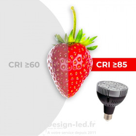 https://design-led.fr/ Ampoule E27 led PAR30 25w 3000k 41,00 € 41,00 € LM7153