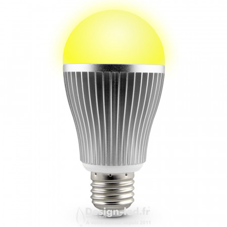 Ampoules LED lumière chaude 9W 12V E27