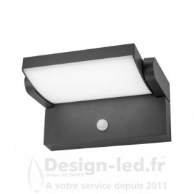 Applique Murale Orientable LED CASPER 12W Détecteur 4000K Gris IP54
