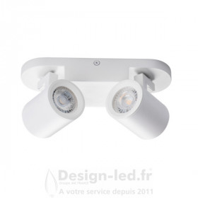 Luminaire mural ou plafonnier LAURIN 2xGU10 Blanc