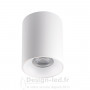 Plafonnier pour éclairage d’accentuation RITI blanc 1xGU10, kanlux 27569 Kanlux 23,50 € Support plafond GU10 - GU5.3 - G4