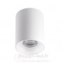 Plafonnier pour éclairage d’accentuation RITI blanc 1xGU10, kanlux21, 27569 Kanlux 23,50 € Support plafond GU10 - GU5.3 - G4