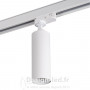 Projecteur pour montage sur rail ACORD GU10 blanc, kanlux 33138 22,30 €