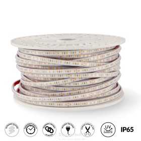 https://design-led.fr/ Ruban led 230v Ac 2835 Prostrip 12W/m ip67 4000k 50ML, LM2612-50ML 450,00 € 450,00 €