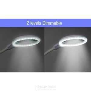 https://design-led.fr/ Lampe loupe LED Grossissement: 1.75 x blanc 4-8W 6500K 60,40 € 60,40 € 3058891